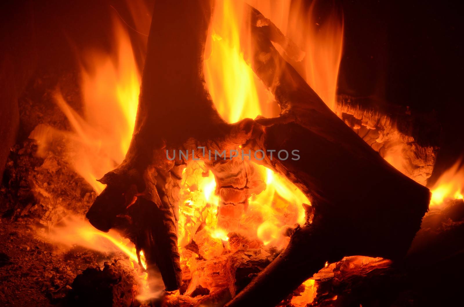 closeup of burning wood in a fire place
