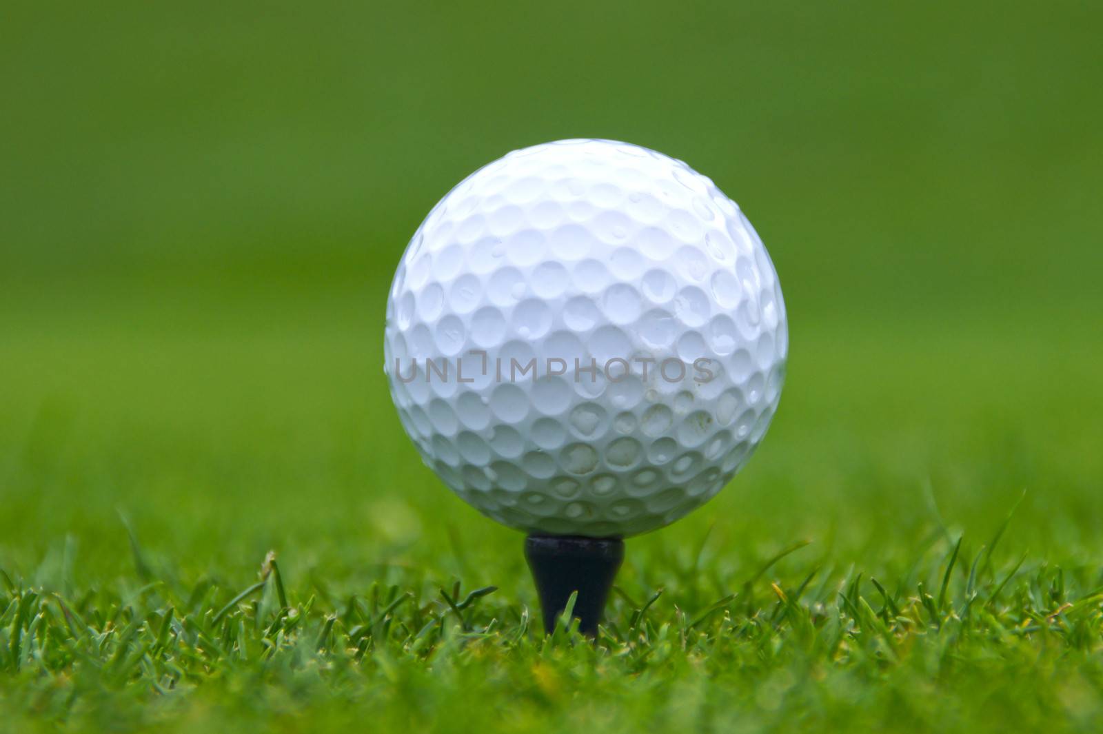 closeup of white golf ball on black tee