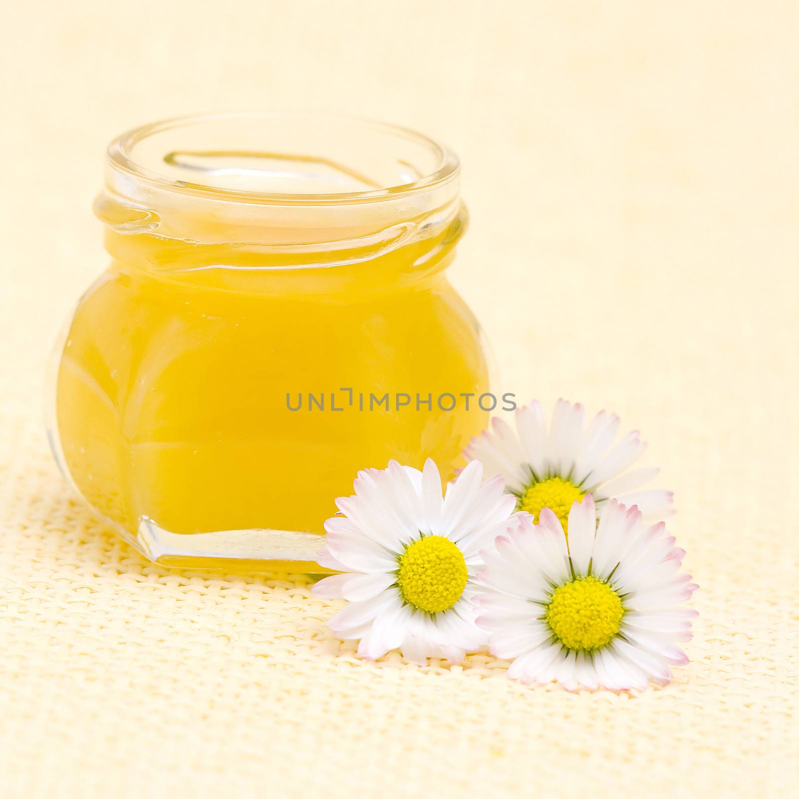 honey and daisies by miradrozdowski
