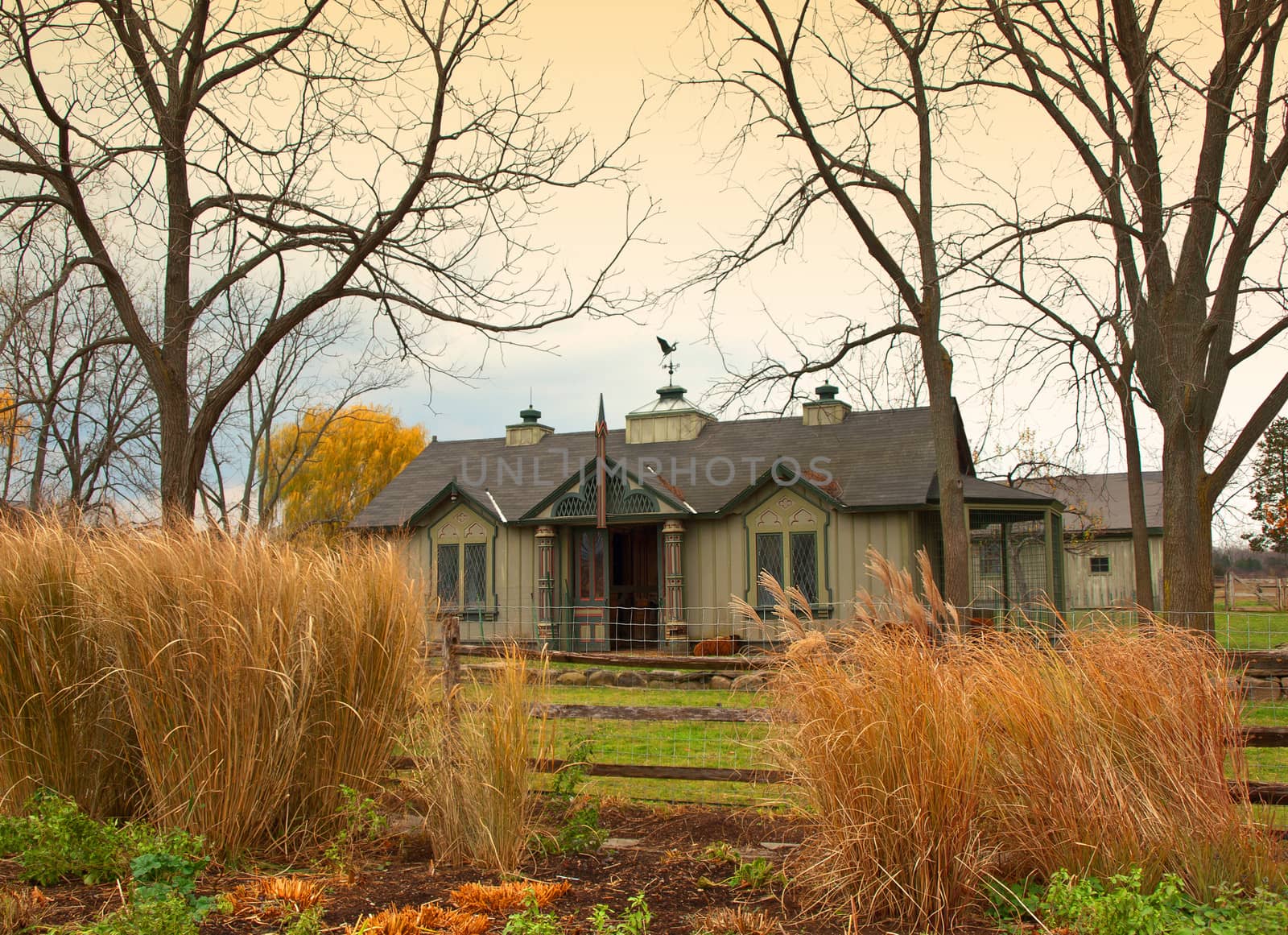 fancy hen house in autumn