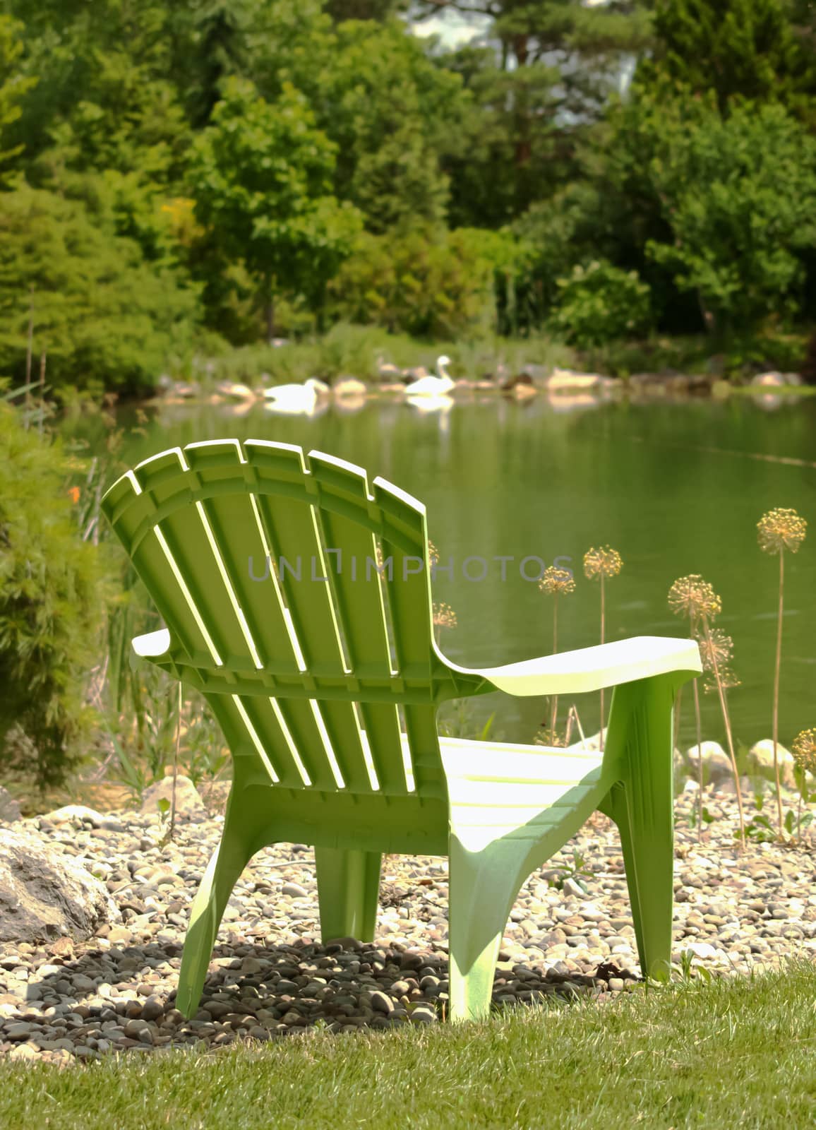 plastic adirondack style chair by a pond in the summer sun