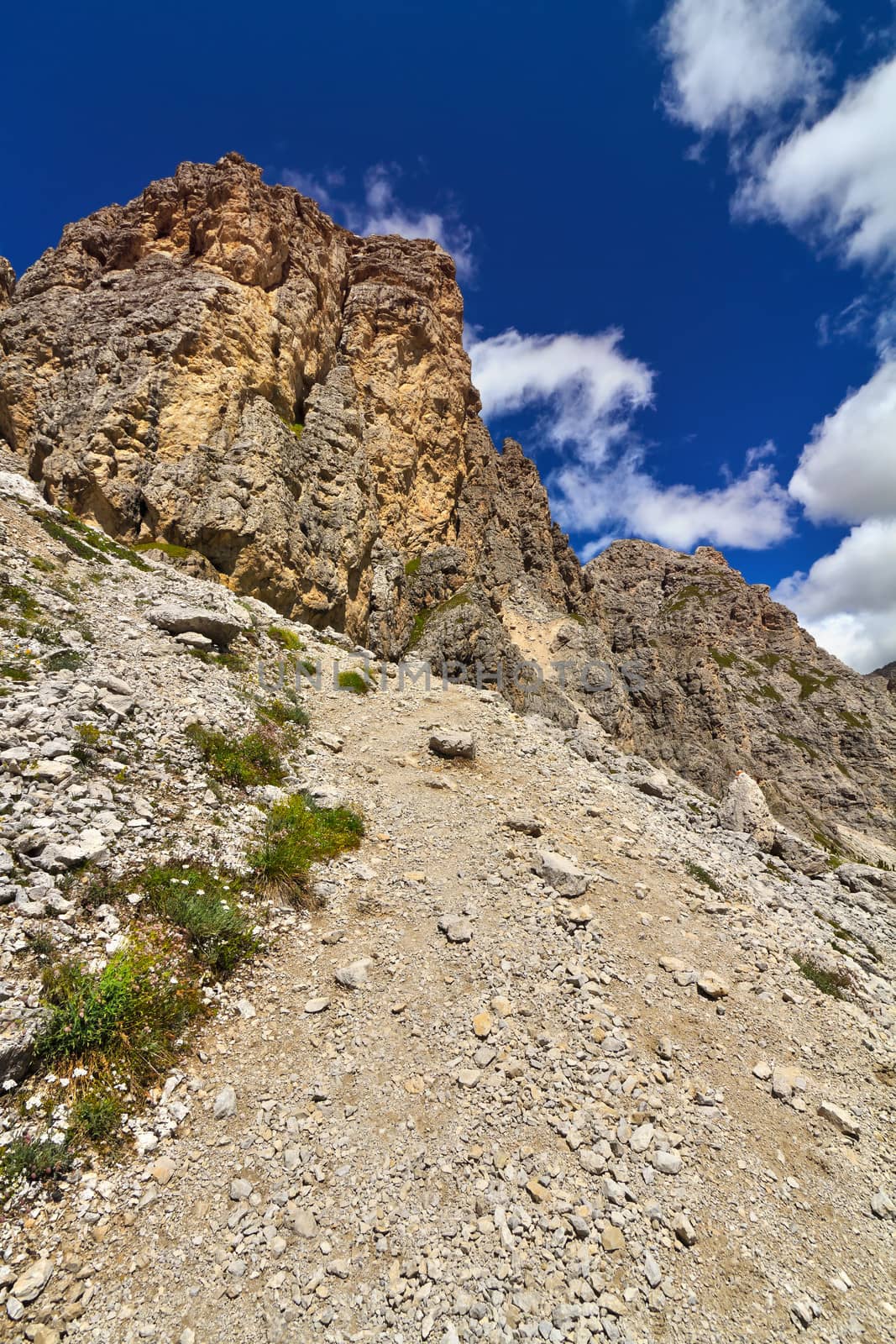 summer view of Gran Cir mount, Trentino  alto Adige, Italy