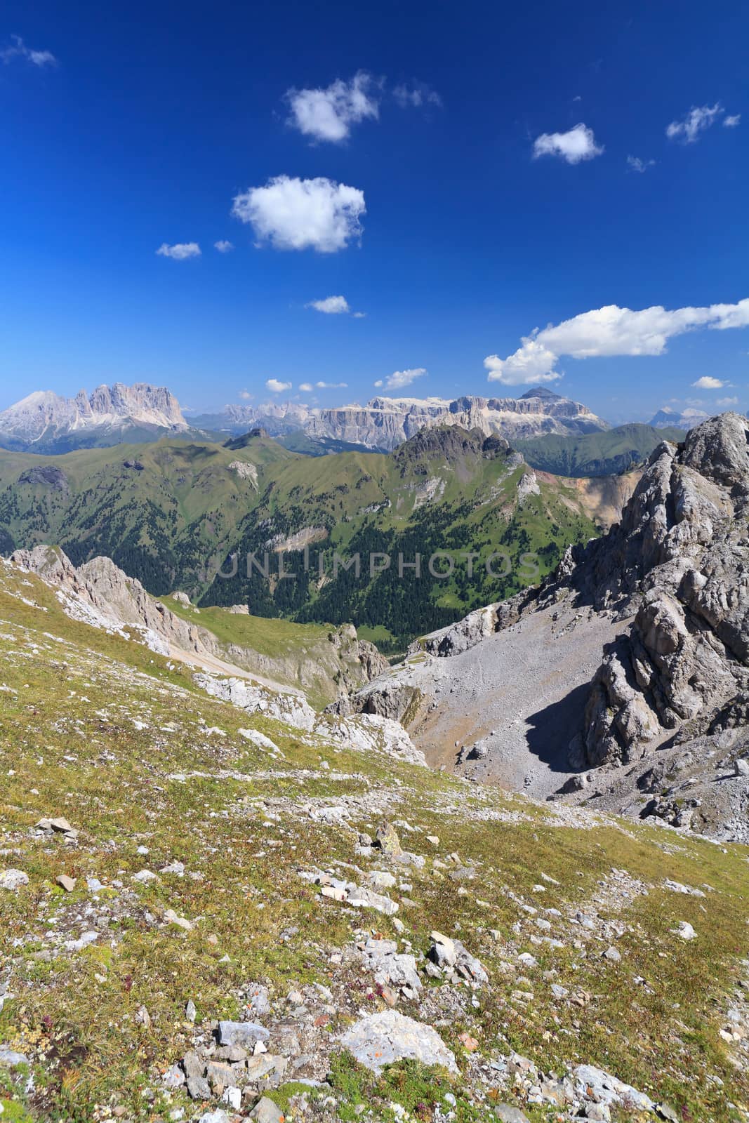 summer view of Dolomites with San Nicolo' valley, Sassolungo and Sella mount, Trentino, Italy