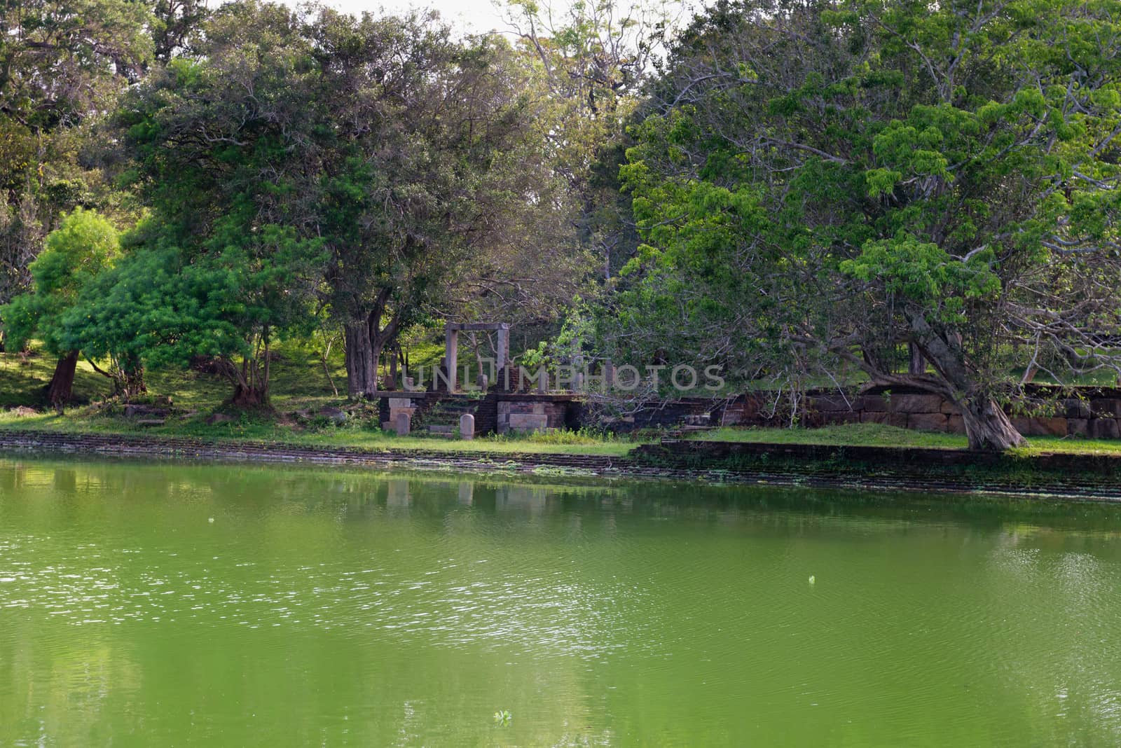 Ruins of the ancient city in tropical forest near a green lake water. Anuradhapura, Sri Lanka 