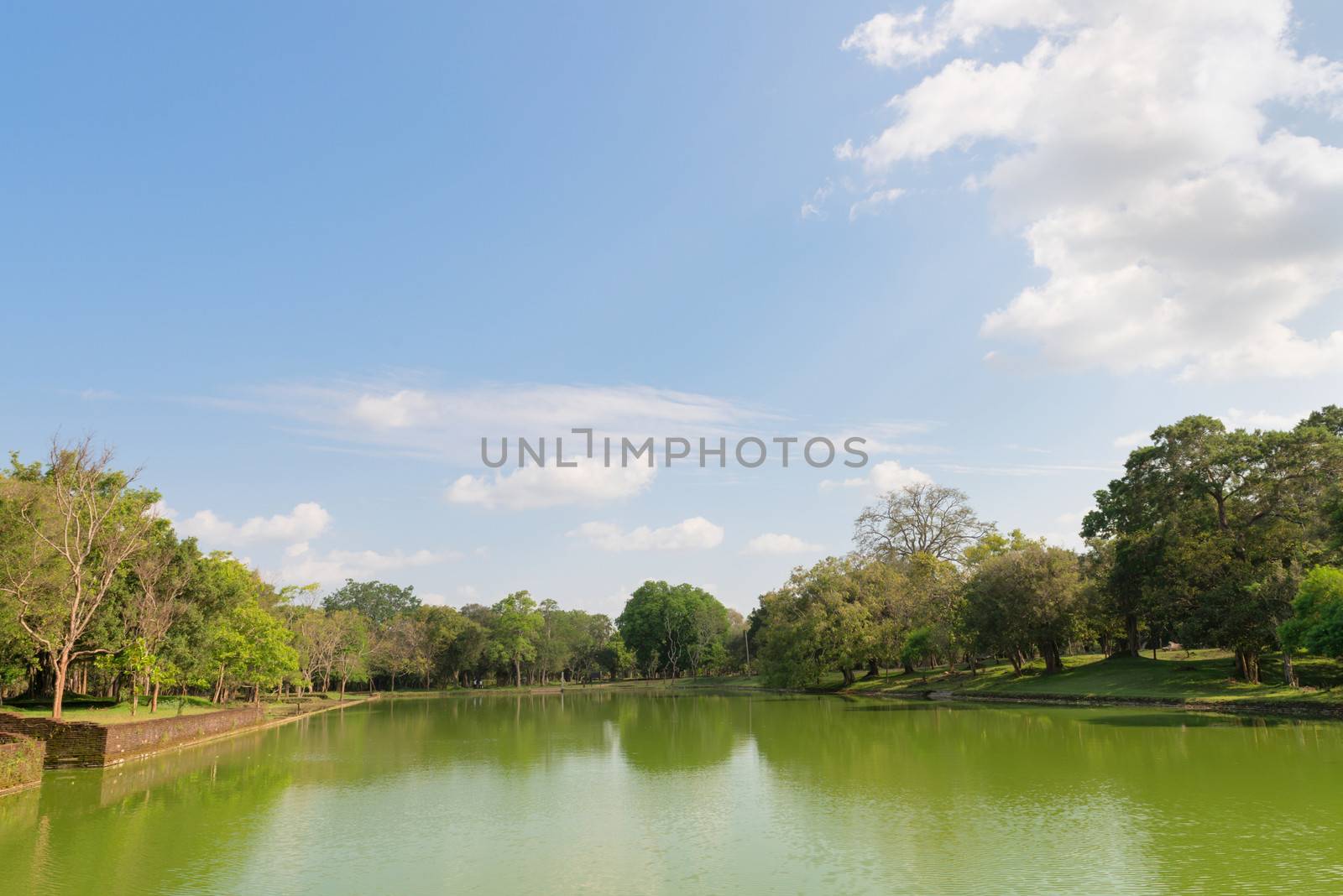 Gigantic pond in tropical forest under blue sky.