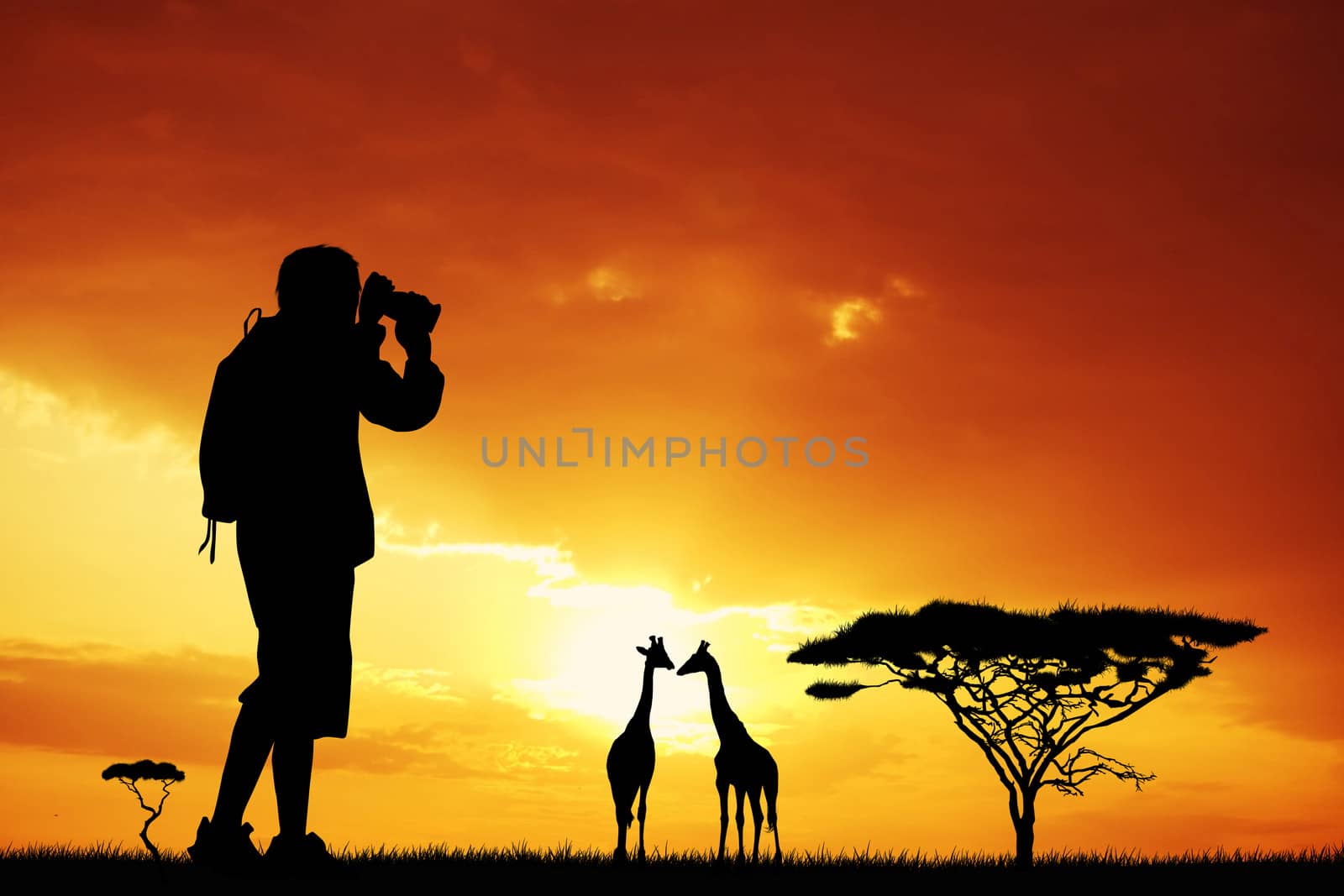 Safari sunset by adrenalina