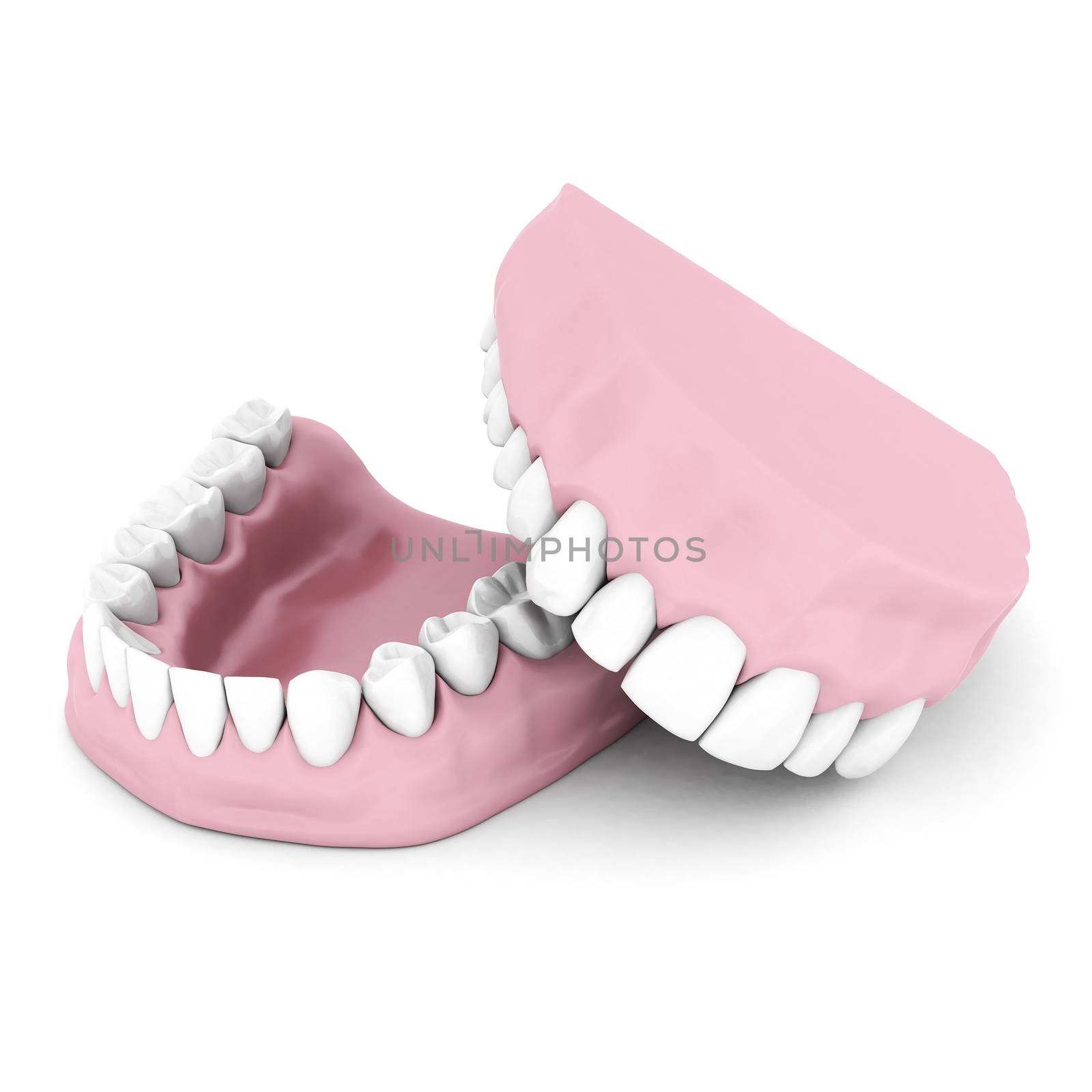 Dentures isolated on a white background