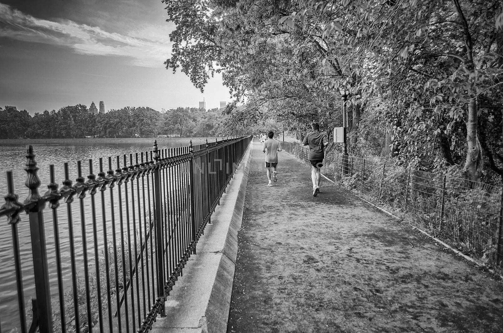 Jogging in Central Park, New York by marcorubino