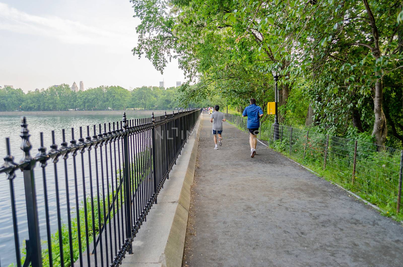 Typical path for Jogging in Central Park, New York