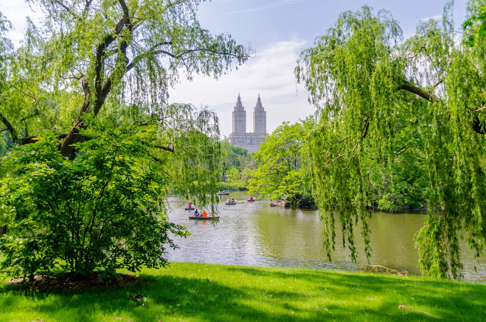Central Park, Manhattan by marcorubino