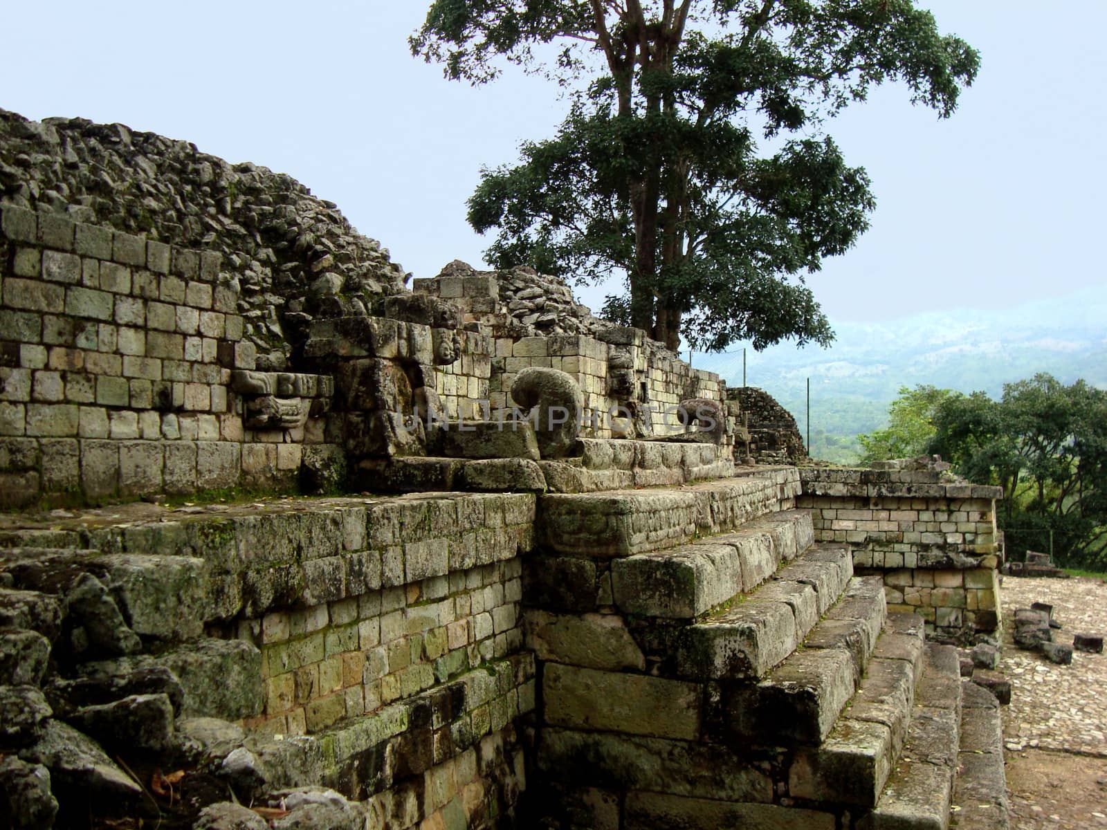 mayan architecture and copan ruins in Honduras by ftlaudgirl