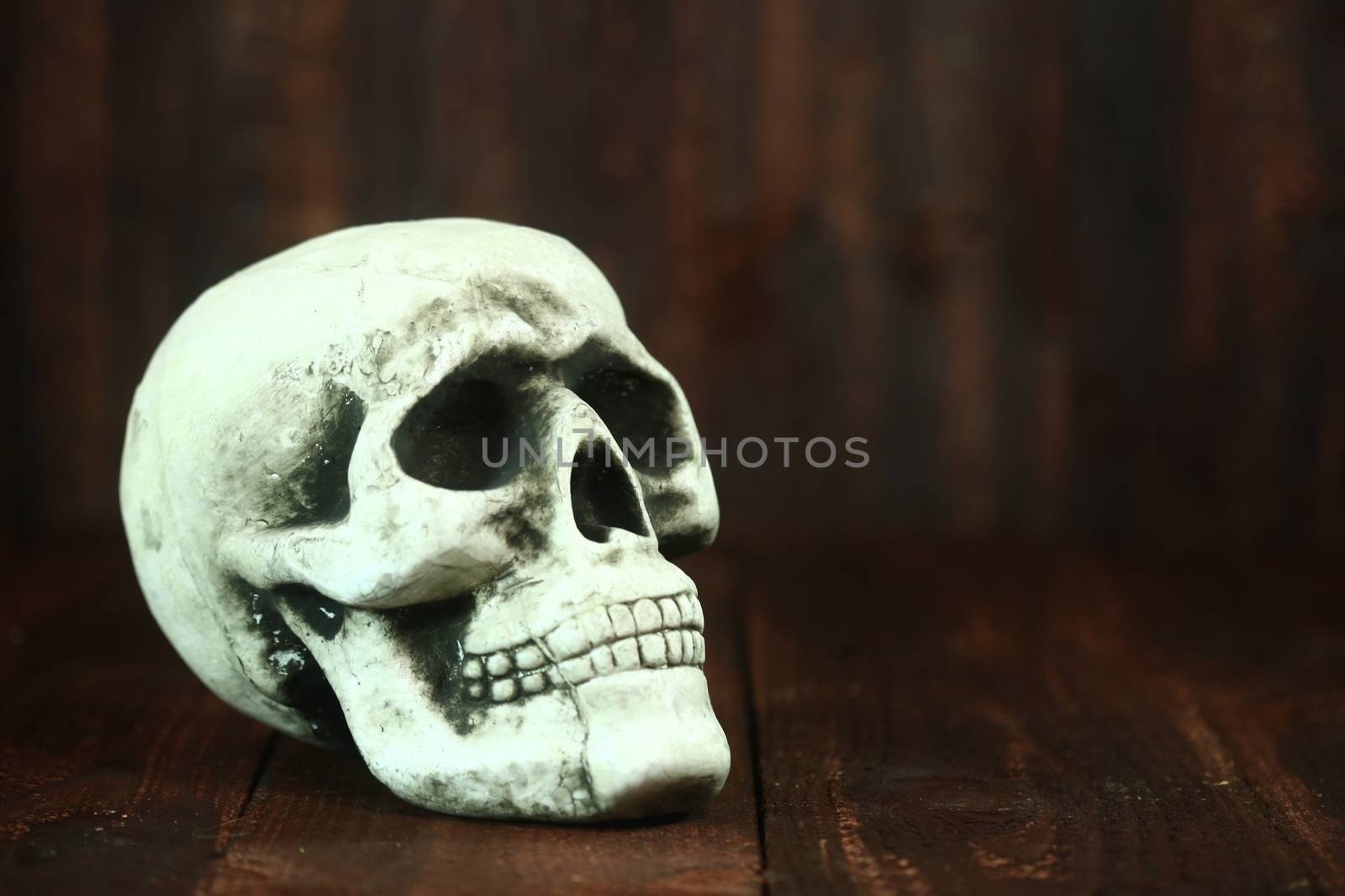 Spooky Halloween Skull on Wood Grunge Rustick Background