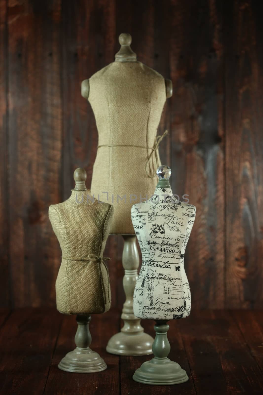 Vintage Antique Mannequin Busts on Wood Grunge Background