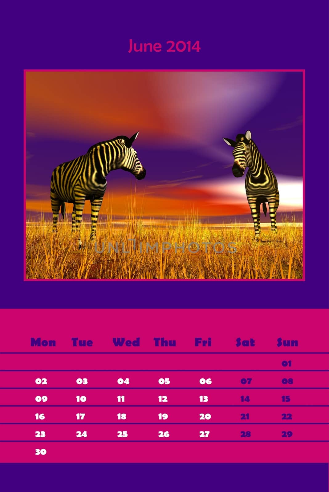 Colorful english calendar for june 2014 - two zebras in the yellow grass, 3D render