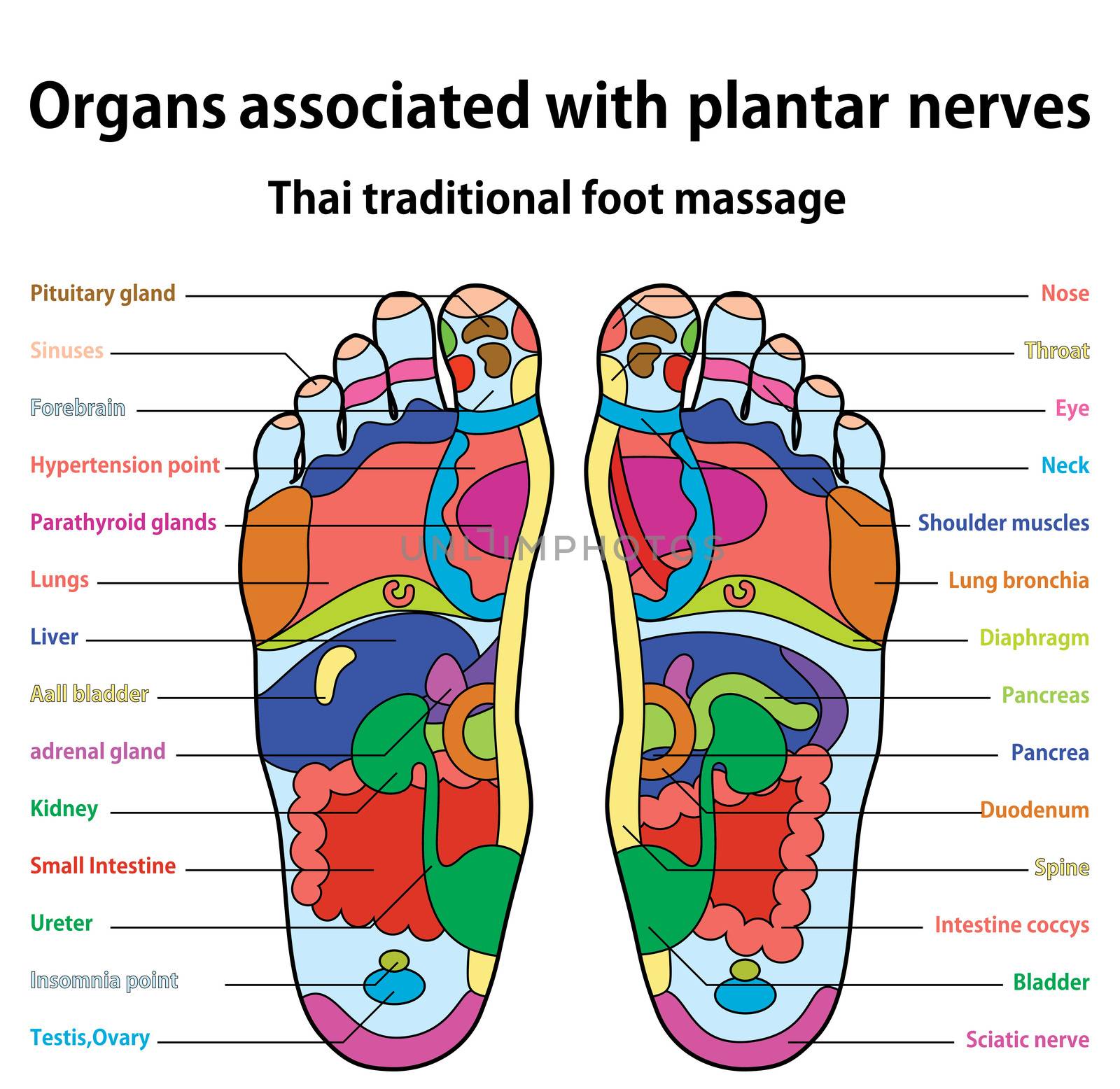 Thai traditional foot massage