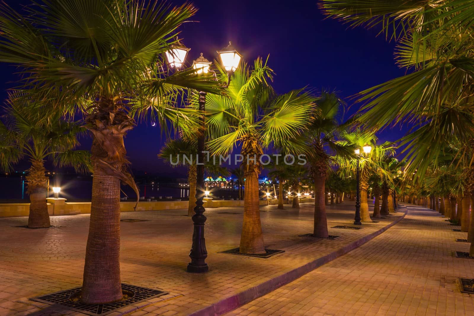 Quay  resort of Hurghada at night by oleg_zhukov