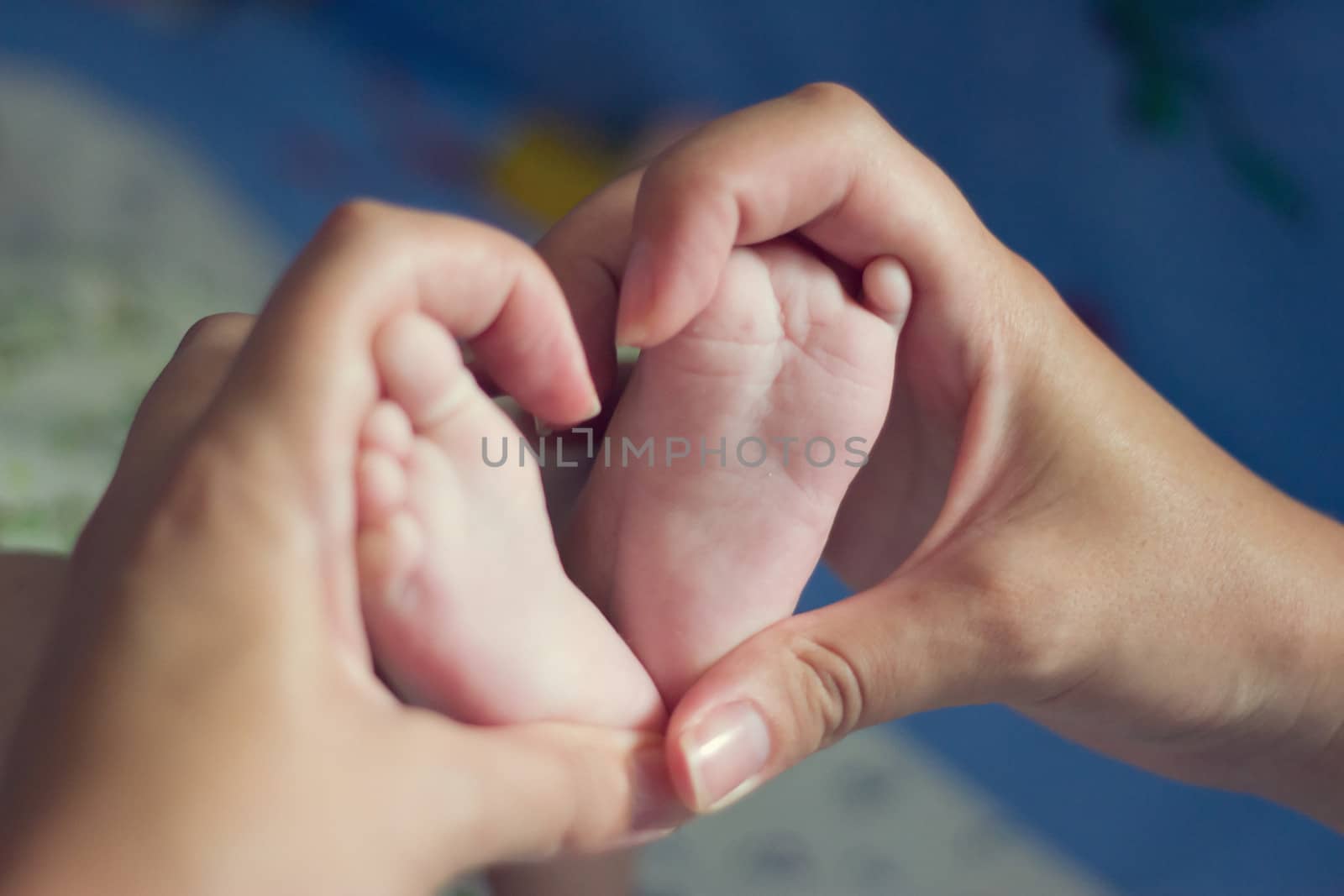 close up of Little baby feet with mother hand