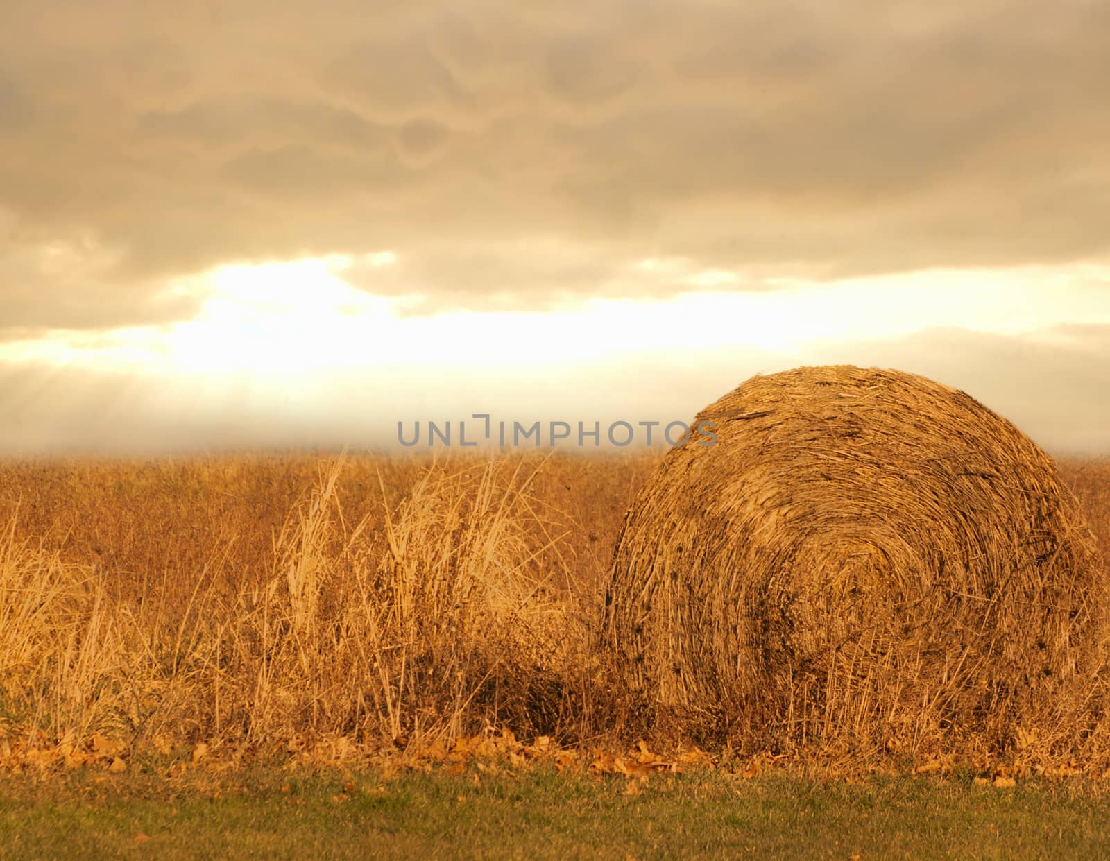 hay bale and farmland at sundown