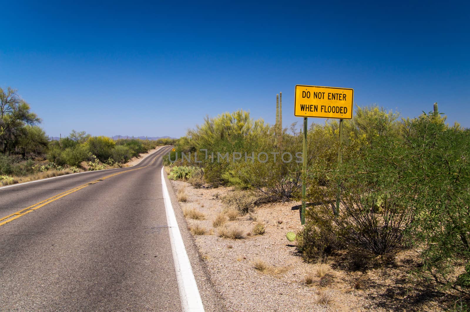 Dips in the road through Desert