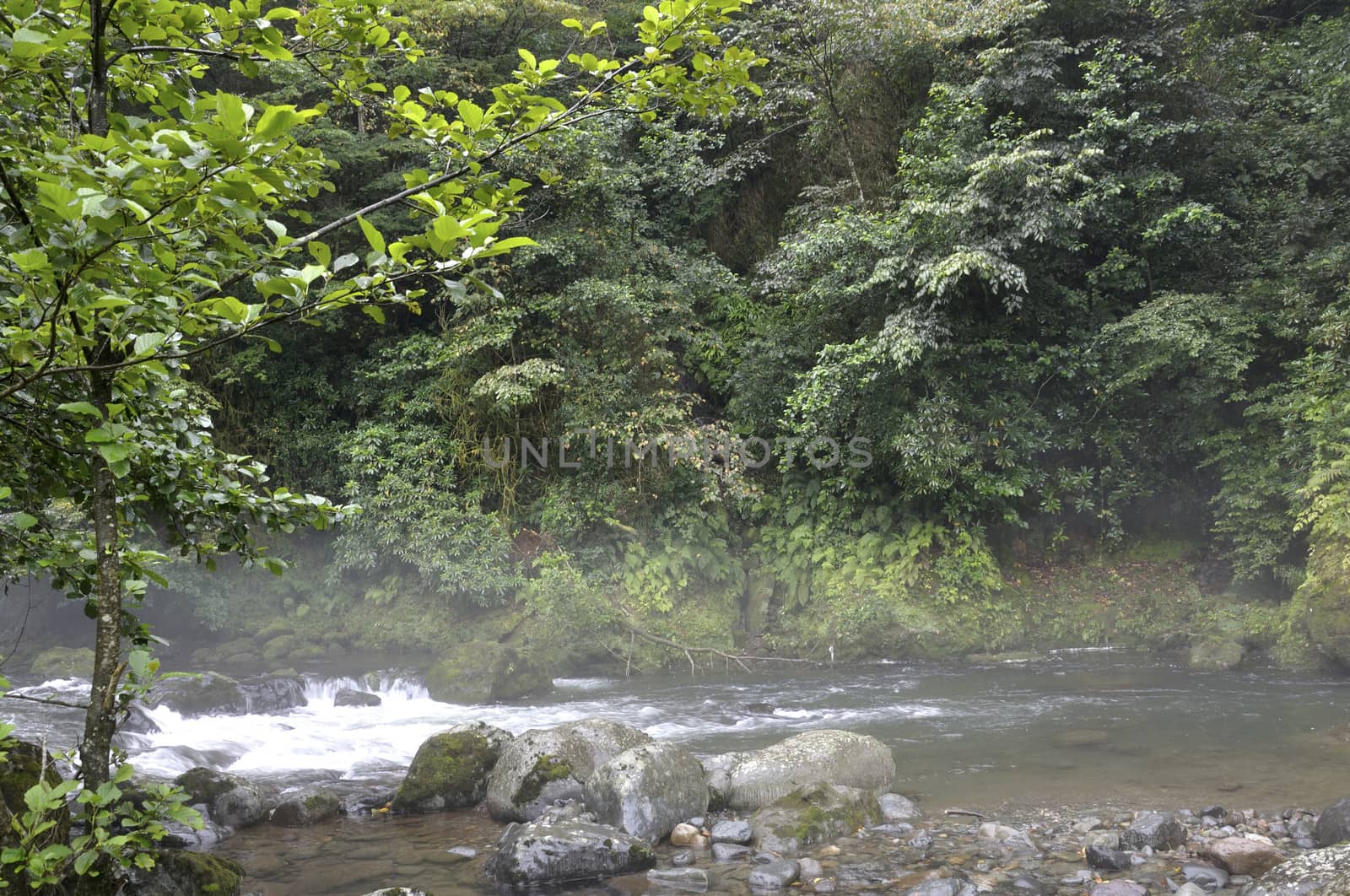 mountain river, landscapes by rusgri