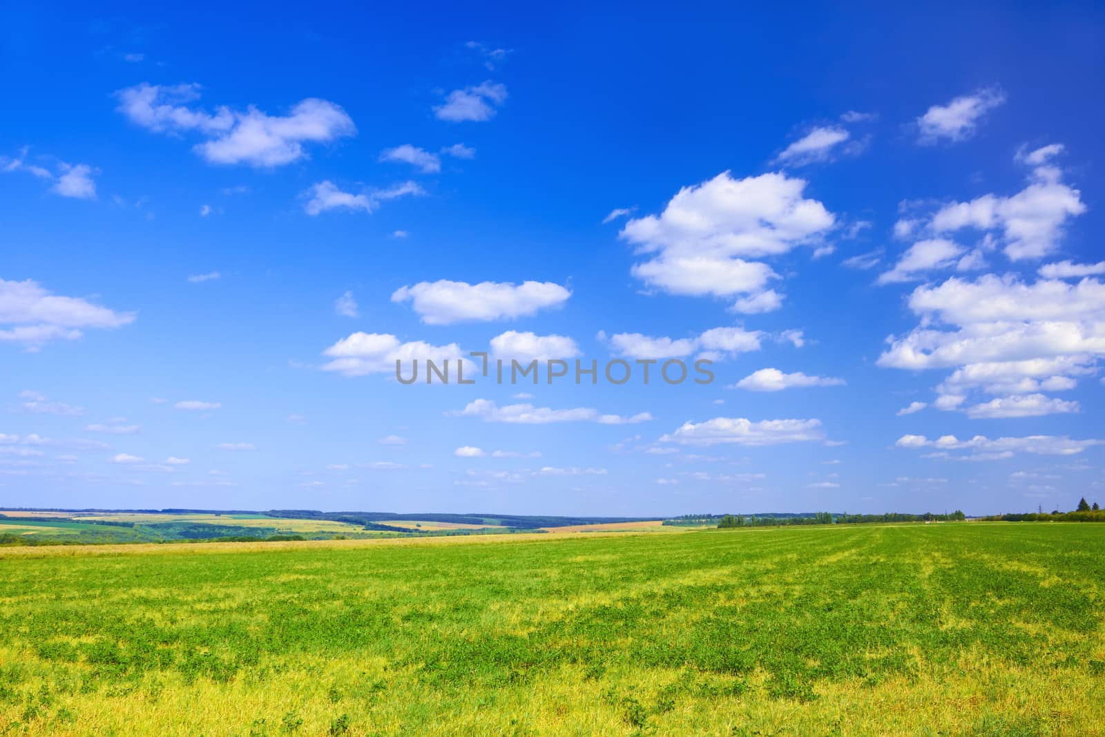 Late summer rural landscape by qiiip