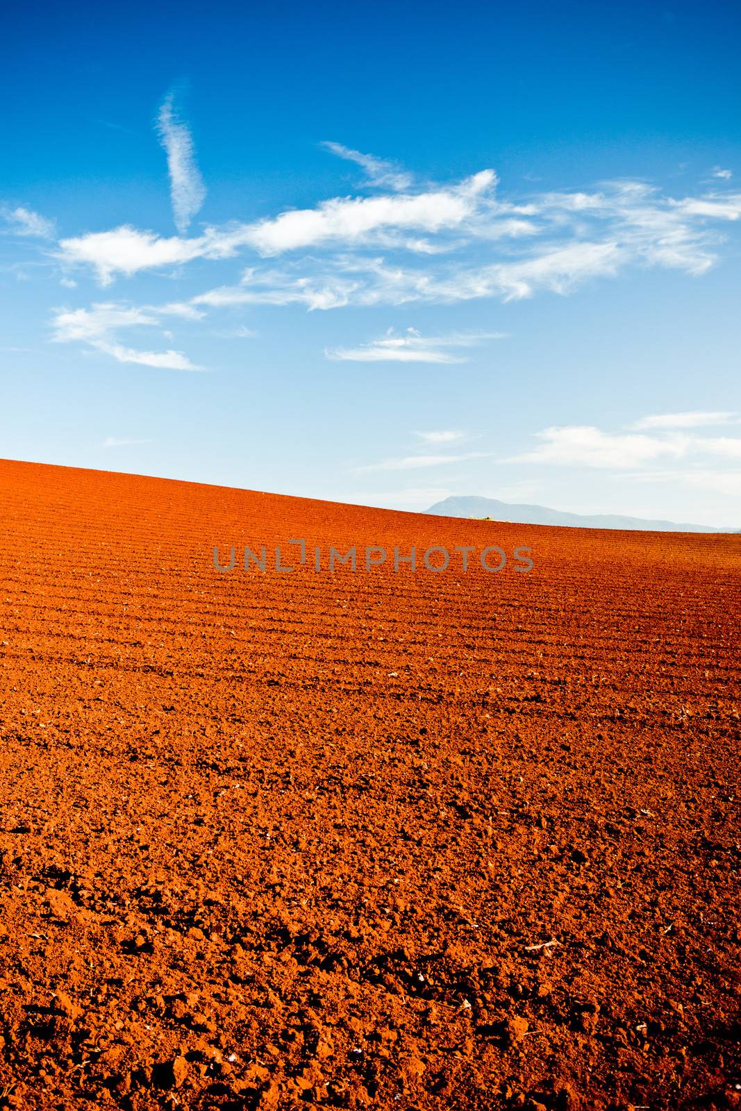 Ploughed red earth in late evening sun by jrstock
