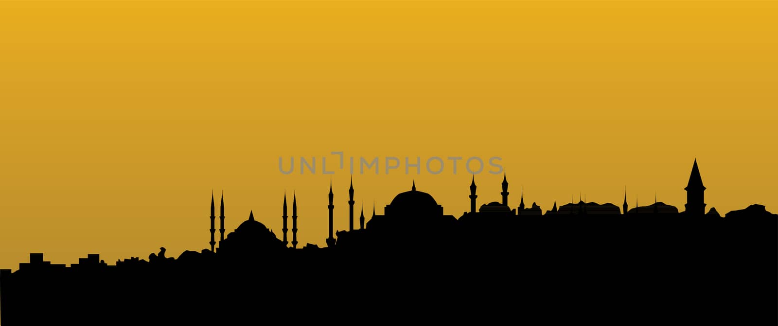 Istanbul skyline by compuinfoto