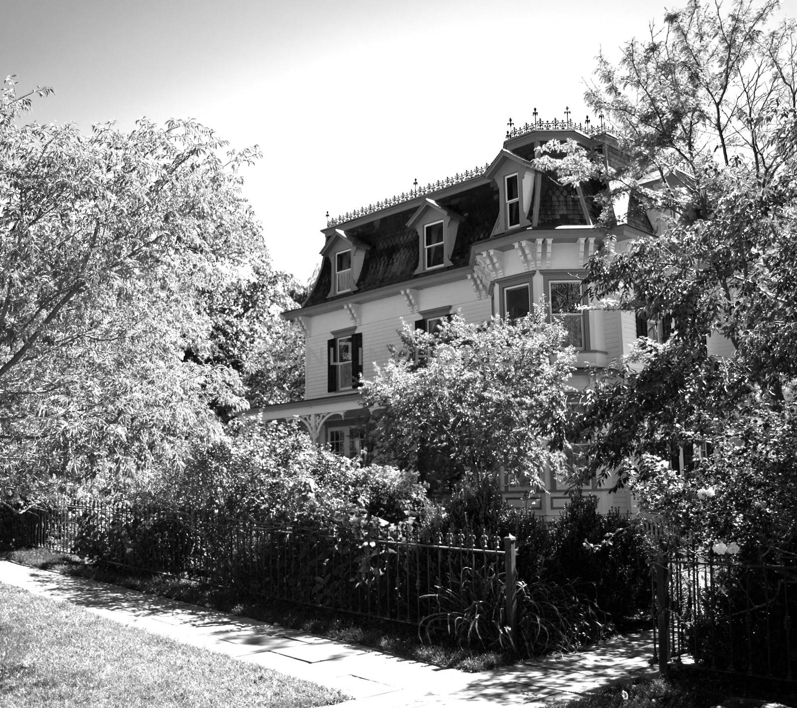 old victorian style home with iron gates and foliage in black and white