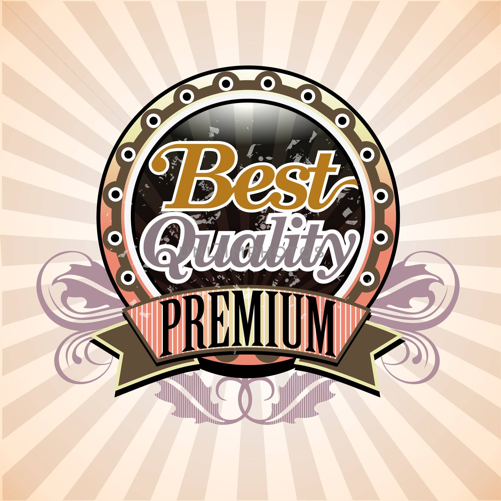 Vintage style decorative label with text Best premium quality