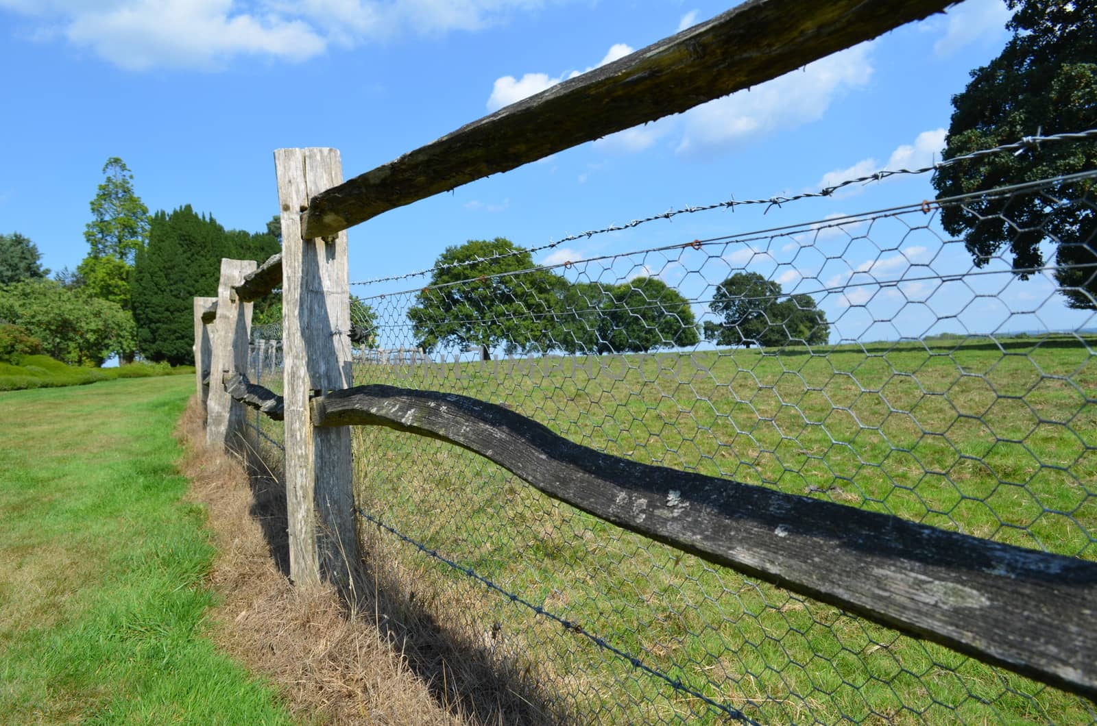 Wood fence with wire along the boundary of a pasture field in Sussex,England.