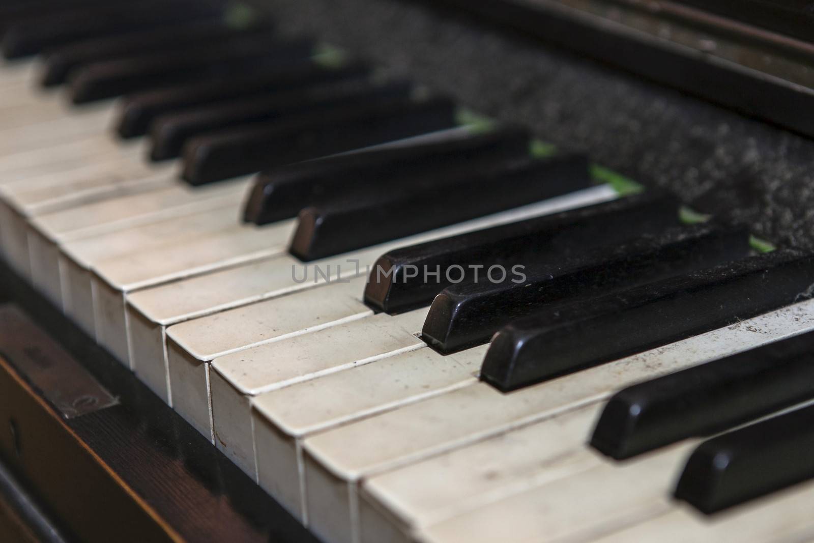 Old Piano Keys by PhotoWorks