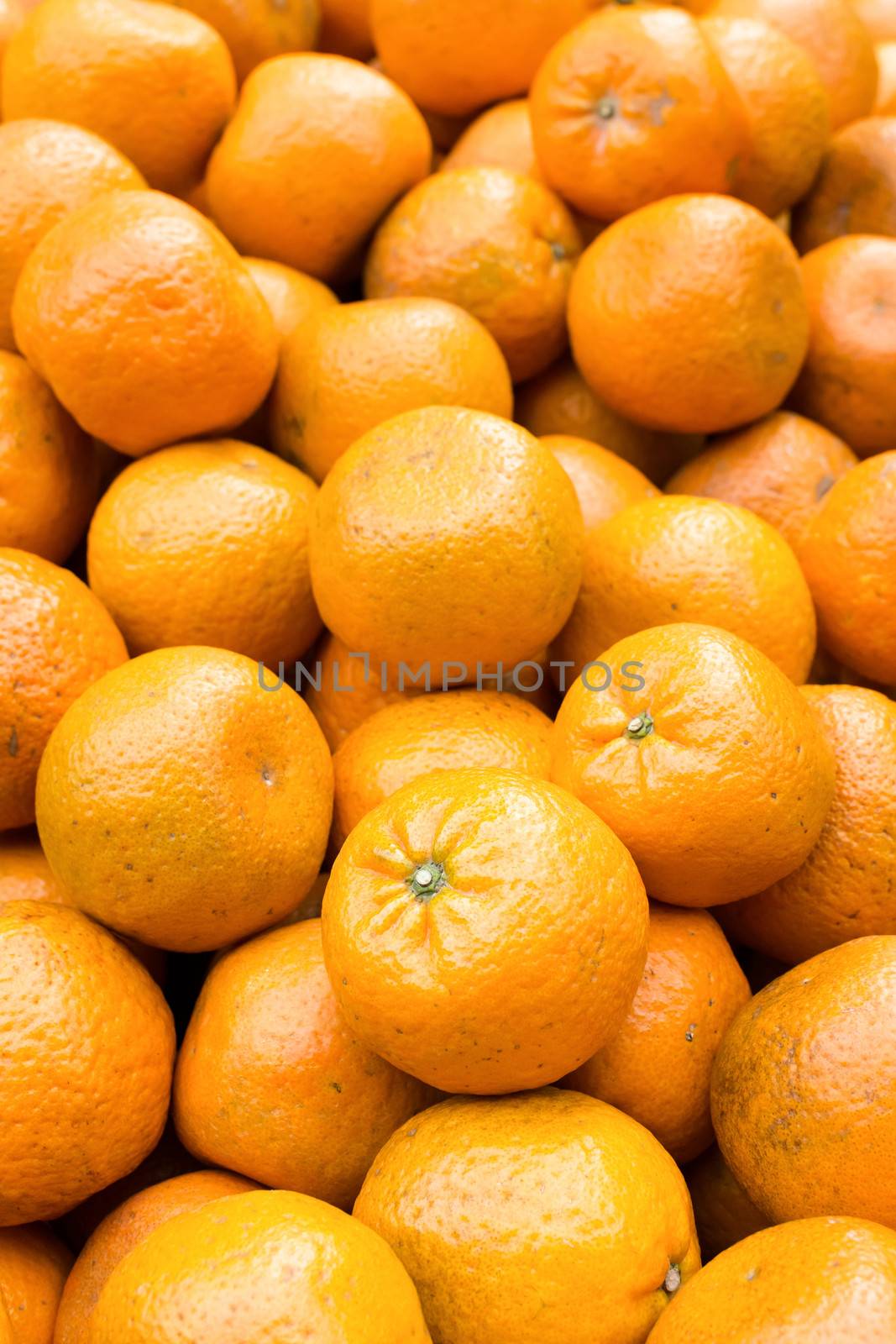 Tangerines in group, fresh fruit in orange color.