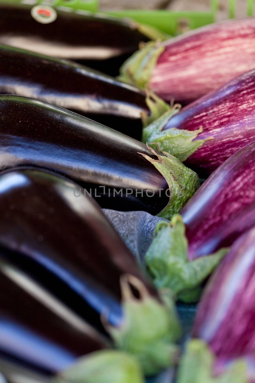 fresh violet eggplant in summer outdoor on market  by juniart