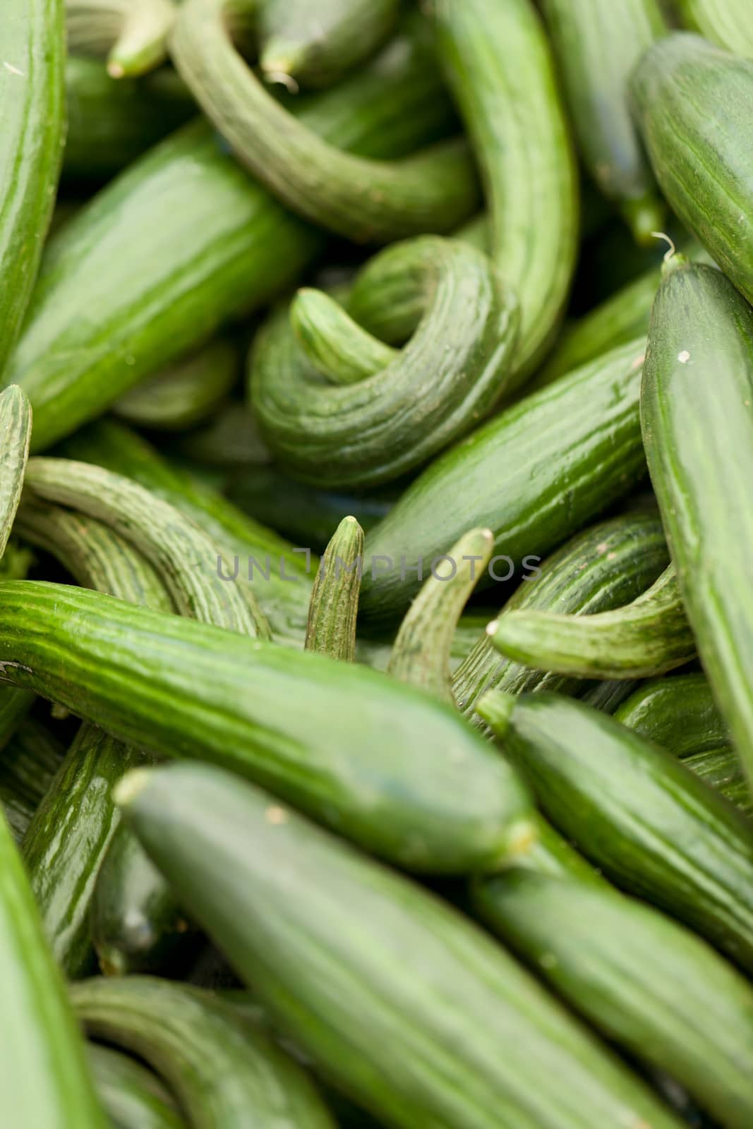 fresh green cucumber collection outdoor on market macro