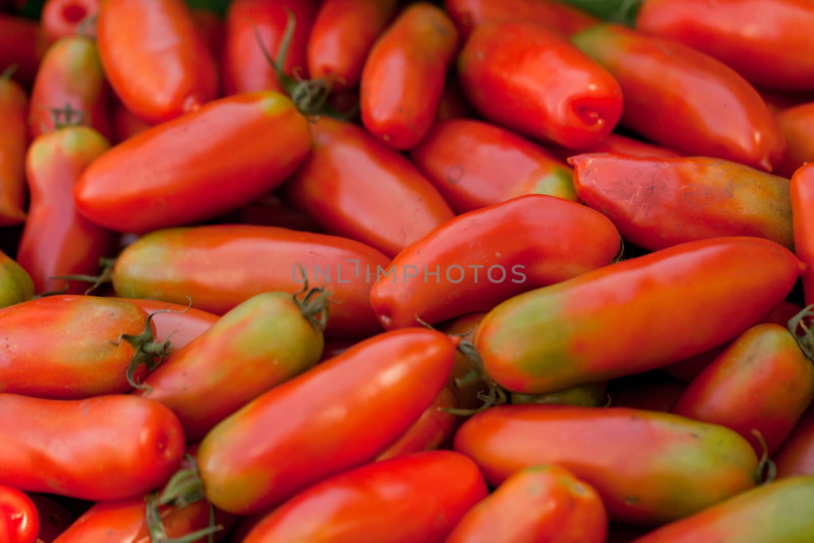 tasty fresh red tomatoes on market outdoor in summer