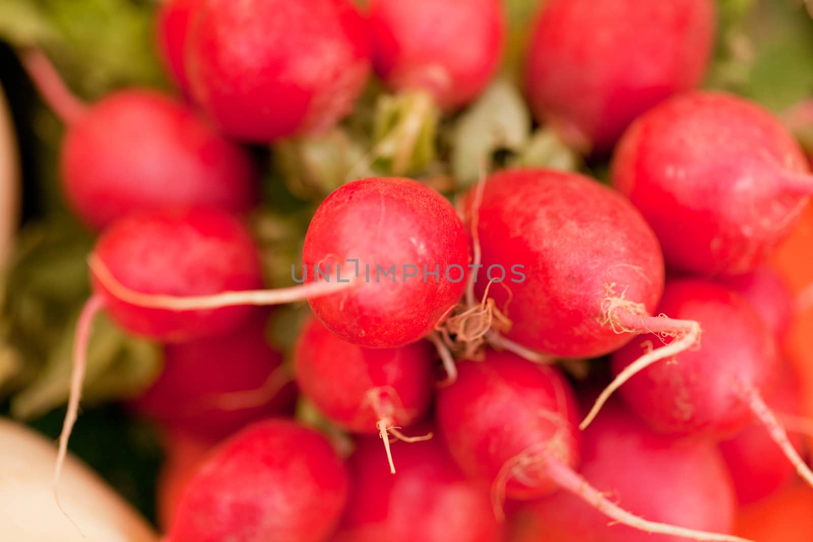fresh healthy red raddisch closeup macro outdoor market summertime