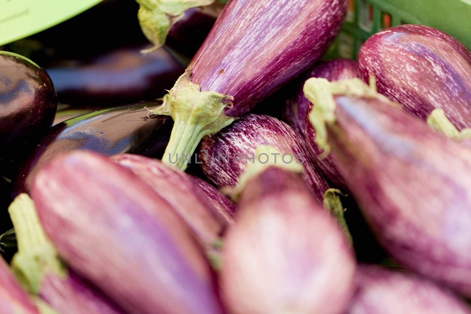 fresh violet eggplant in summer outdoor on market  by juniart