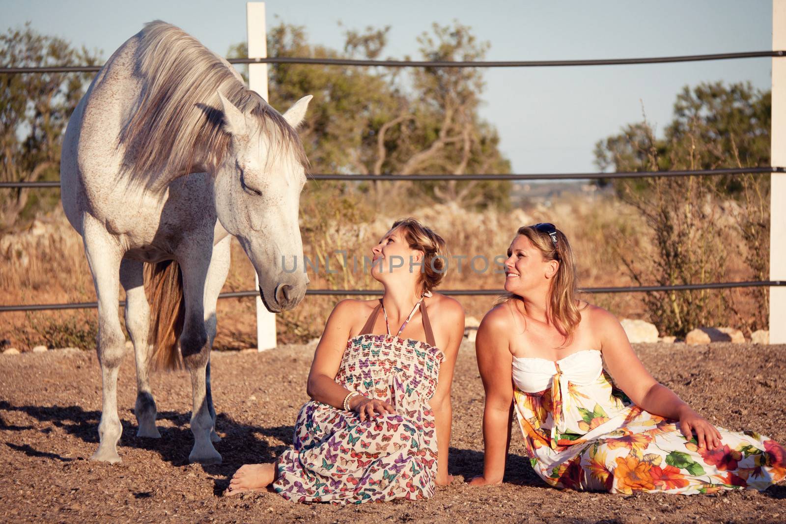 two woman horse and dog outdoor in summer happy by juniart