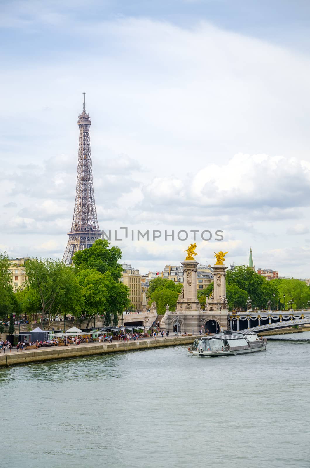 Seine in Paris with Eiffel tower. France.