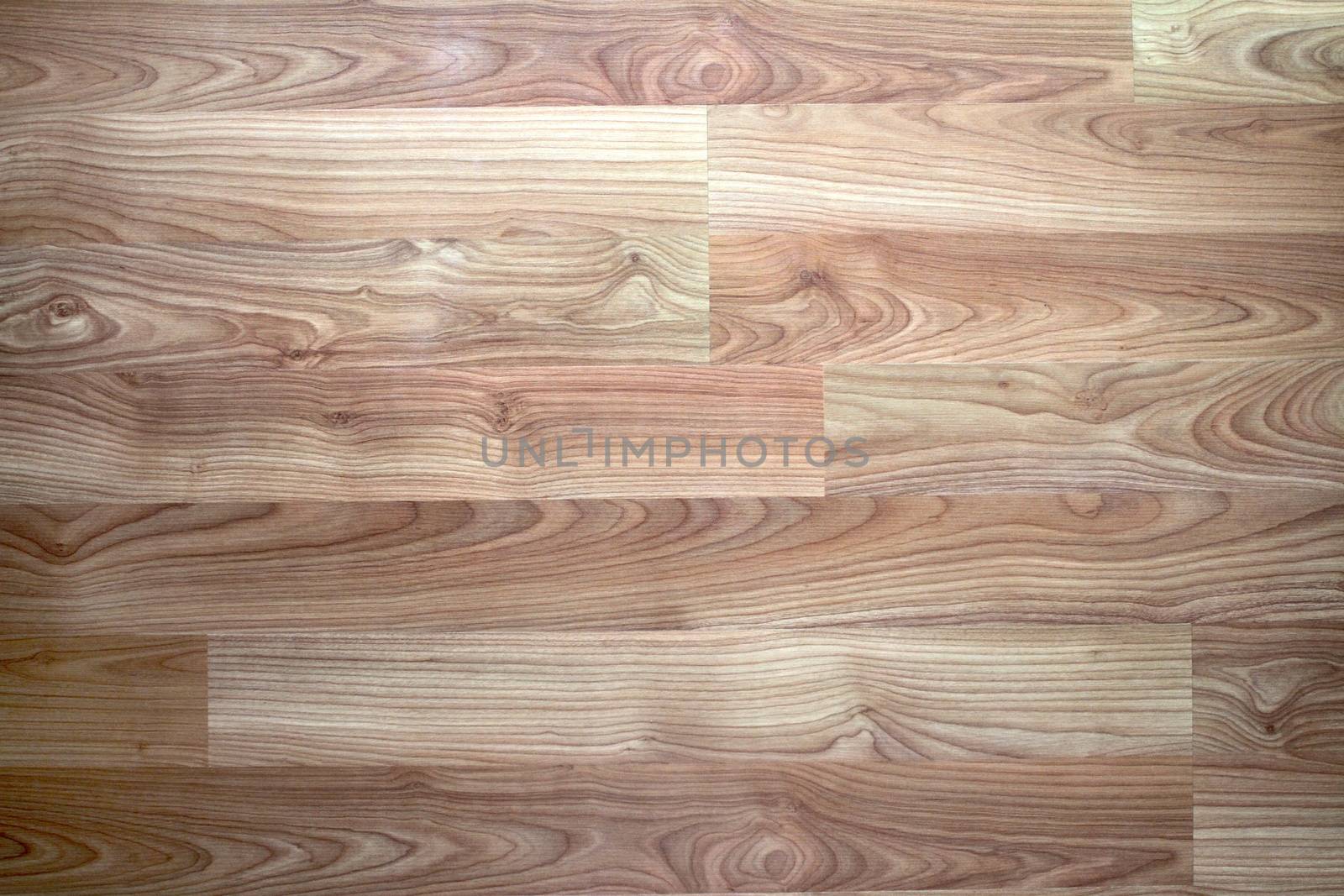 Wooden Flooring by Kitch
