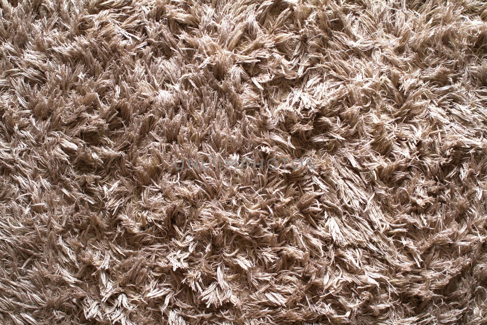 Carpet by Kitch