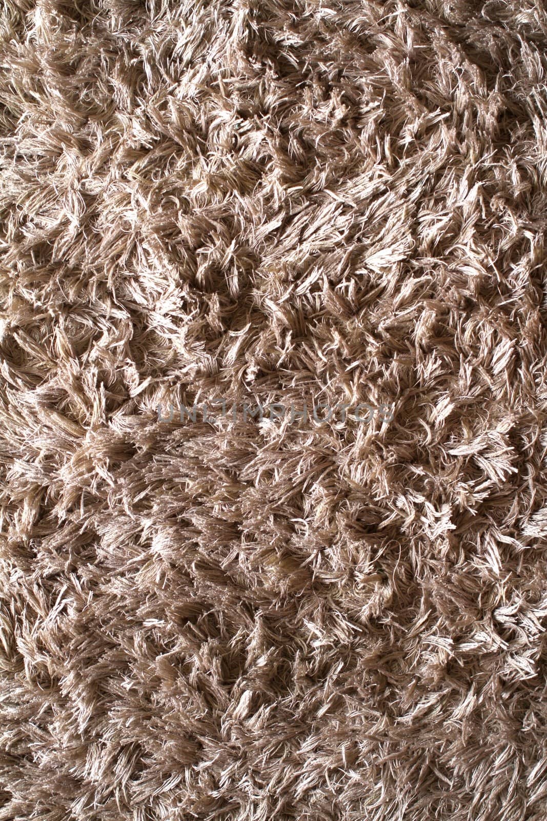 Carpet by Kitch