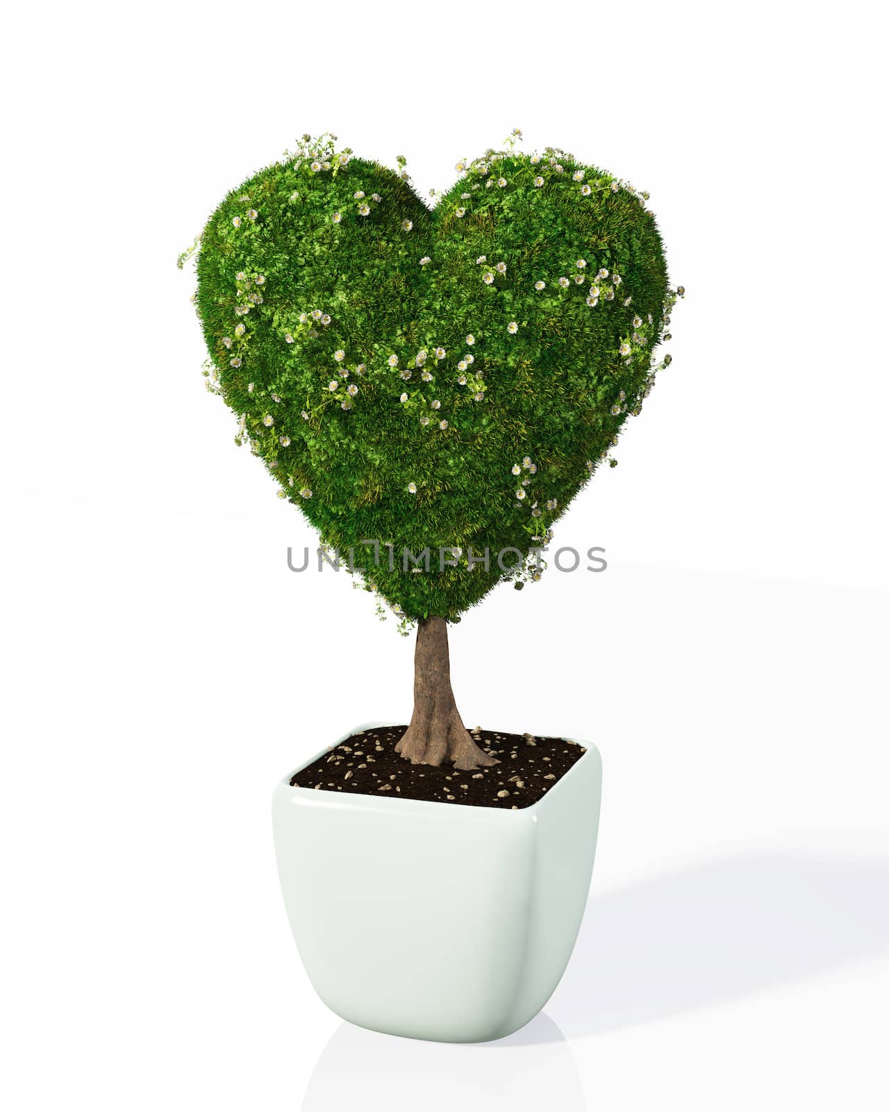 a small plant in the shape of heart planted in a white pot is fully covered by grass and flowers, on a white background