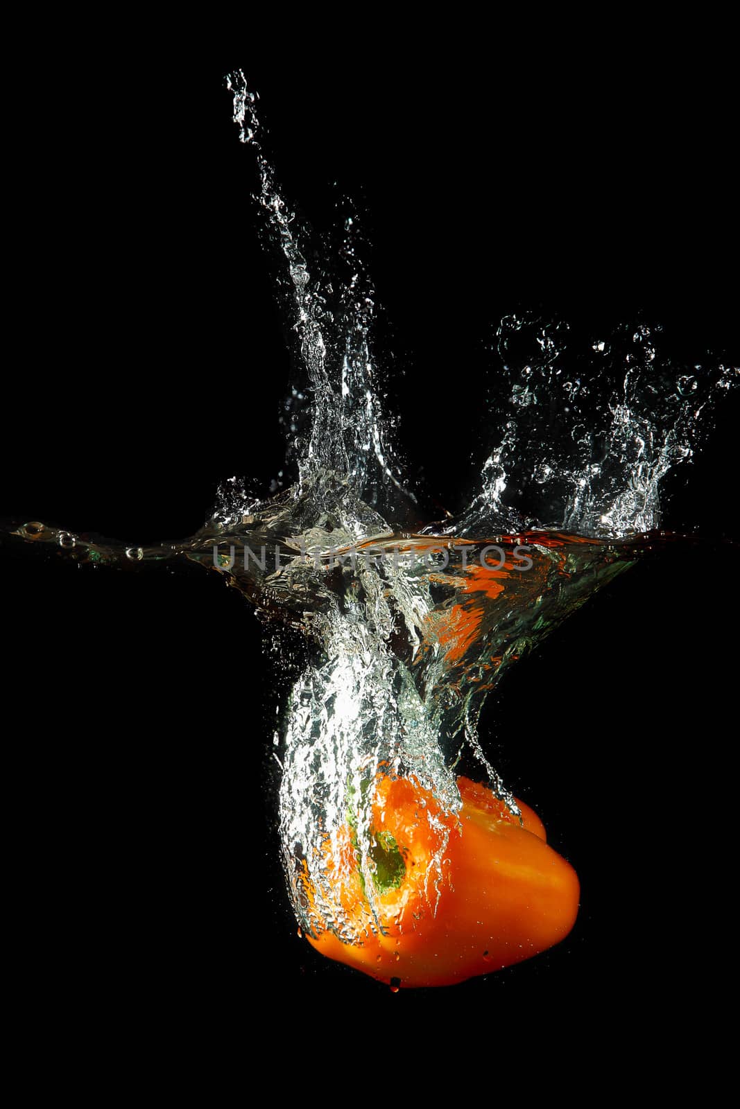 Colored orange paprika in water splashes on black background