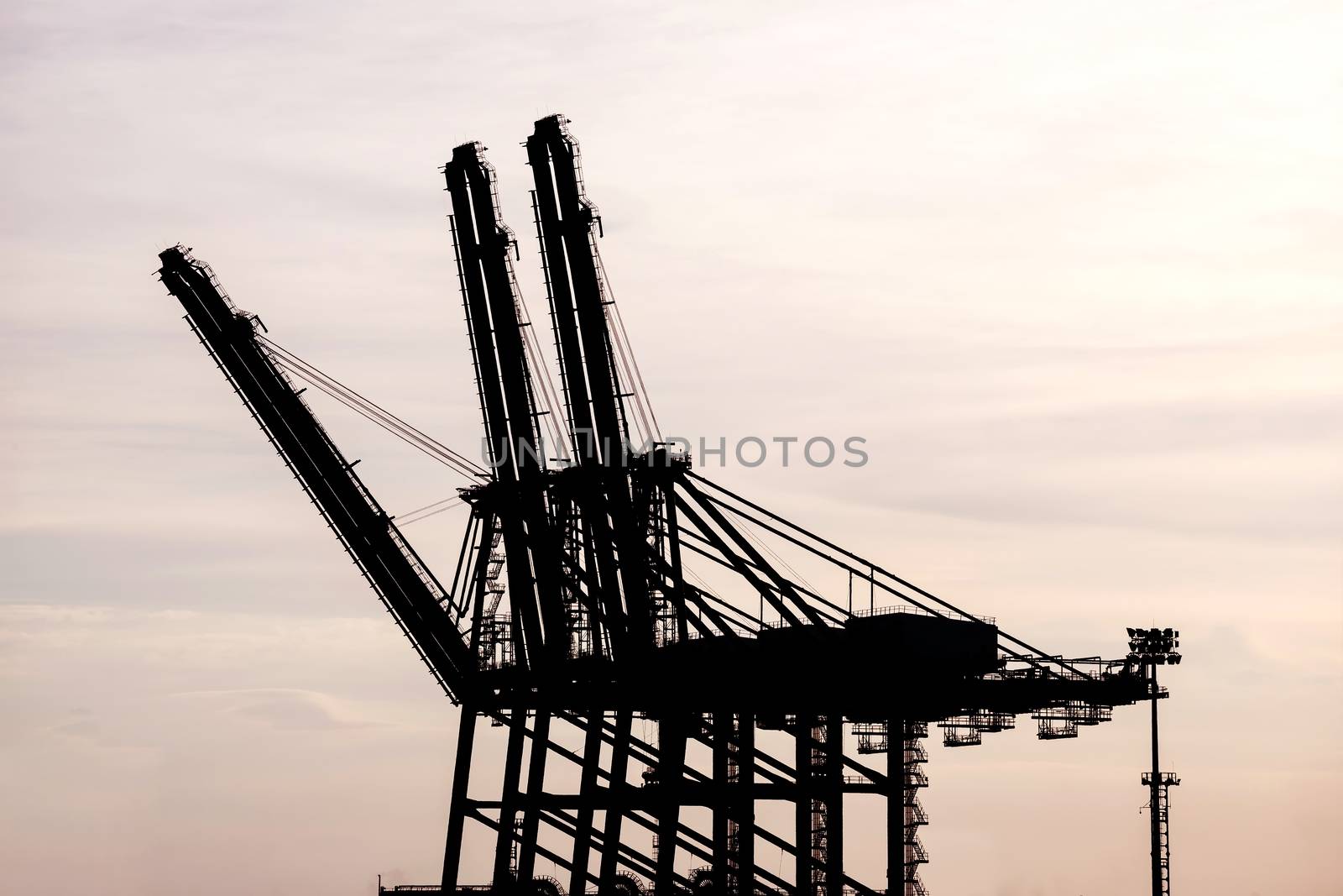 silhouette of Cargo crane at Terminal port during sunset