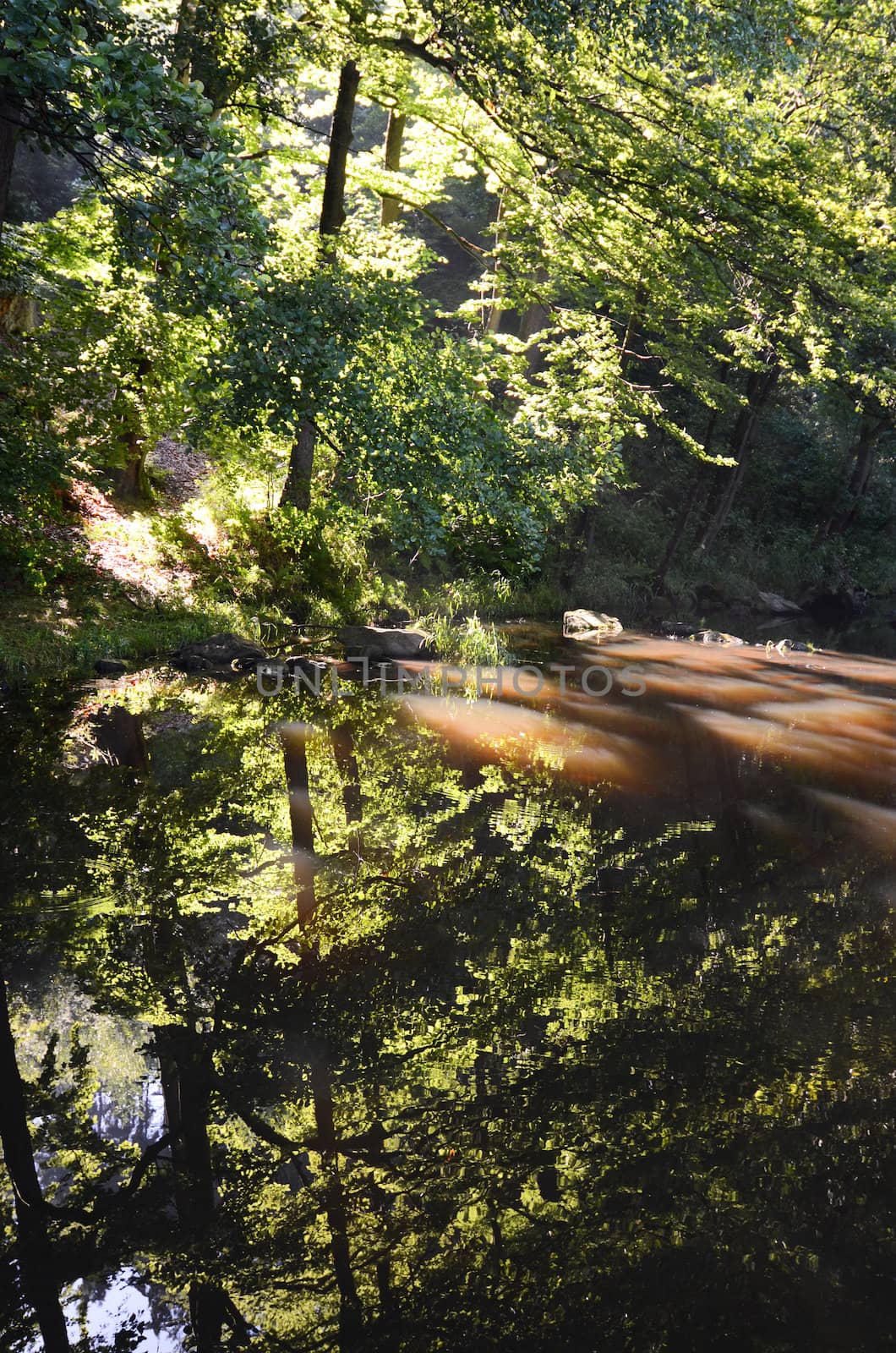 river in the morning