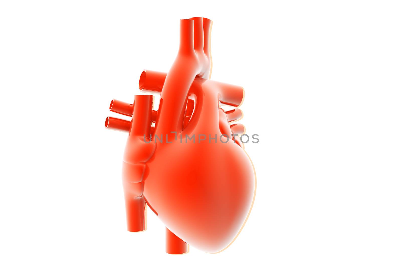 human heart by abhi3747
