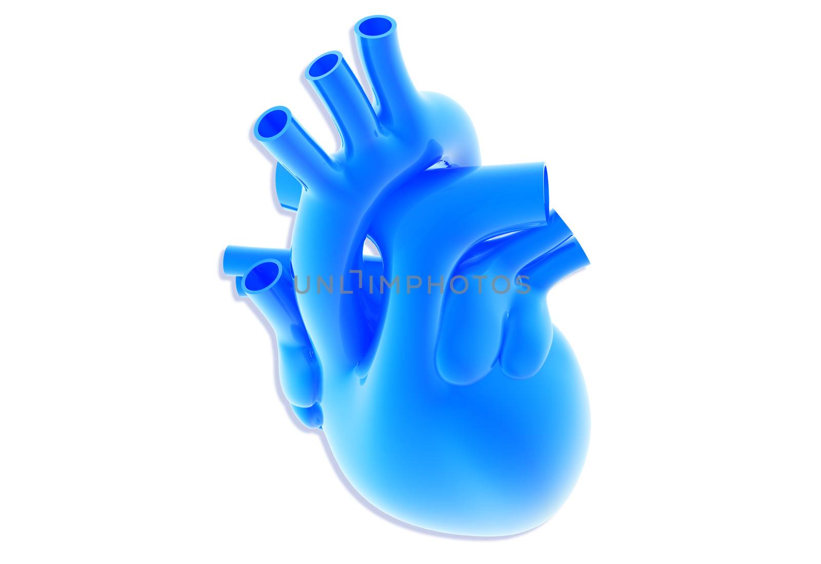 Digital illustration of human heart in colour background