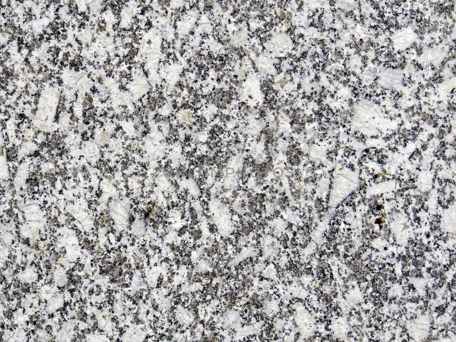 Picture of a abstract black white marble for background texture