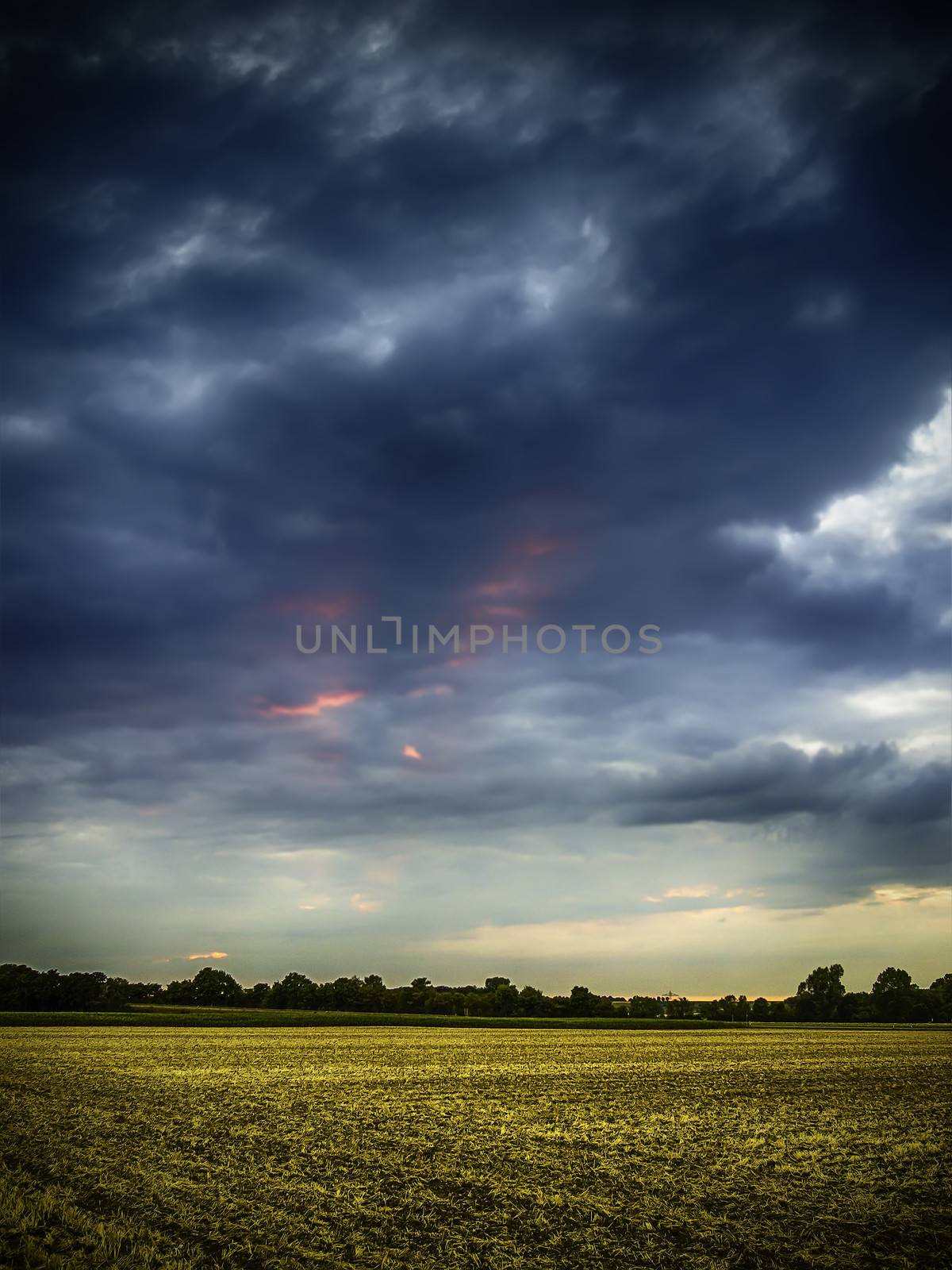 Picture of a field in the evening sunset with dramatic dark clouds
